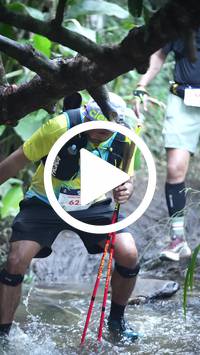 BIB:  <button type="button" onclick="openModal(27824796)" class="btn btn-primary btn-sm float-right" data-toggle="modal" data-target=".modal-high-quality">
                <i class="fa fa-download"></i> Download
                </button>